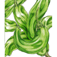 Load image into Gallery viewer, Shishito Pepper Seeds (Organic)
