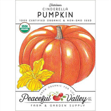 Load image into Gallery viewer, Cinderella Pumpkin Seeds (Organic)
