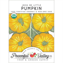Load image into Gallery viewer, Jack Be Little Pumpkin Seeds (Organic)
