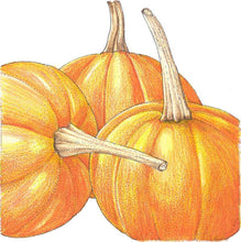 Load image into Gallery viewer, Small Sugar Pumpkin Seeds (Organic)
