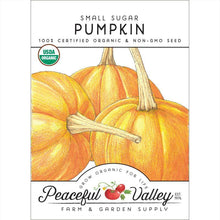 Load image into Gallery viewer, Small Sugar Pumpkin Seeds (Organic)

