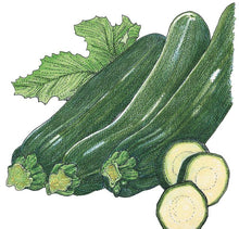 Load image into Gallery viewer, Dark Green Zucchini Summer Squash Seeds (Organic)
