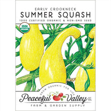 Load image into Gallery viewer, Early Crookneck Summer Squash Seeds (Organic)
