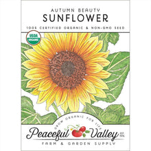 Load image into Gallery viewer, Autumn Beauty Sunflower Seeds (Organic)
