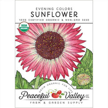 Load image into Gallery viewer, Evening Colors Sunflower Seeds (Organic)
