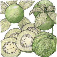 Load image into Gallery viewer, Verde Tomatillo Seeds (Organic)

