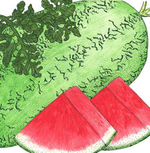 Load image into Gallery viewer, Crimson Sweet Watermelon Seeds (Organic)
