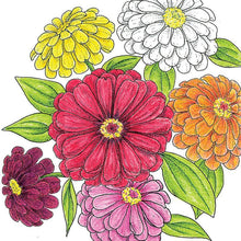 Load image into Gallery viewer, California Giants Zinnia Seeds (Organic)
