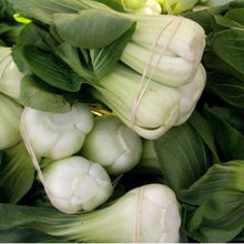 Load image into Gallery viewer, Pak Choi  Baby Shanghai Greens Seeds (Organic)
