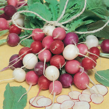 Load image into Gallery viewer, Easter Egg Mix Radish Seeds (Organic)
