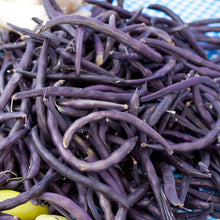Load image into Gallery viewer, Royalty Purple Pod Bush Bean Seeds (Organic)
