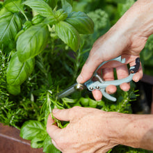 Load image into Gallery viewer, Gardening Shears &amp; Pruners
