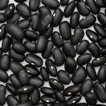 Load image into Gallery viewer, Black Turtle Bush Bean Seeds (Organic)
