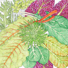 Load image into Gallery viewer, Mesclun Spicy Mix Greens Seeds (Organic)
