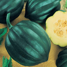 Load image into Gallery viewer, Table Queen Acorn Winter Squash Seeds (Organic)
