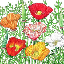 Load image into Gallery viewer, Mission Bells California Poppy Flower Seeds
