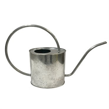 2L Oval Watering Can Galv