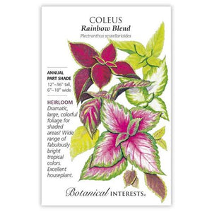 Coleus BI Rainbow Blend