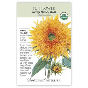 BI Sunflower Goldy Honey Bear