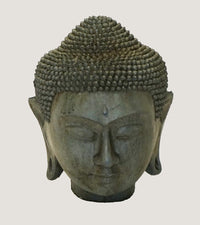Buddha head concrete