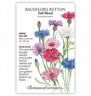 BI Bachelor Button Tall Blend