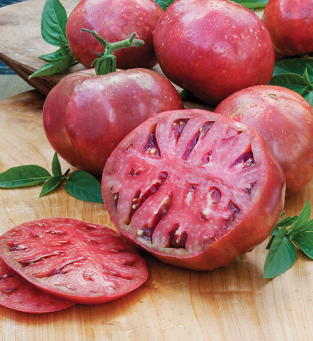 Tomato Cherokee Purple qt