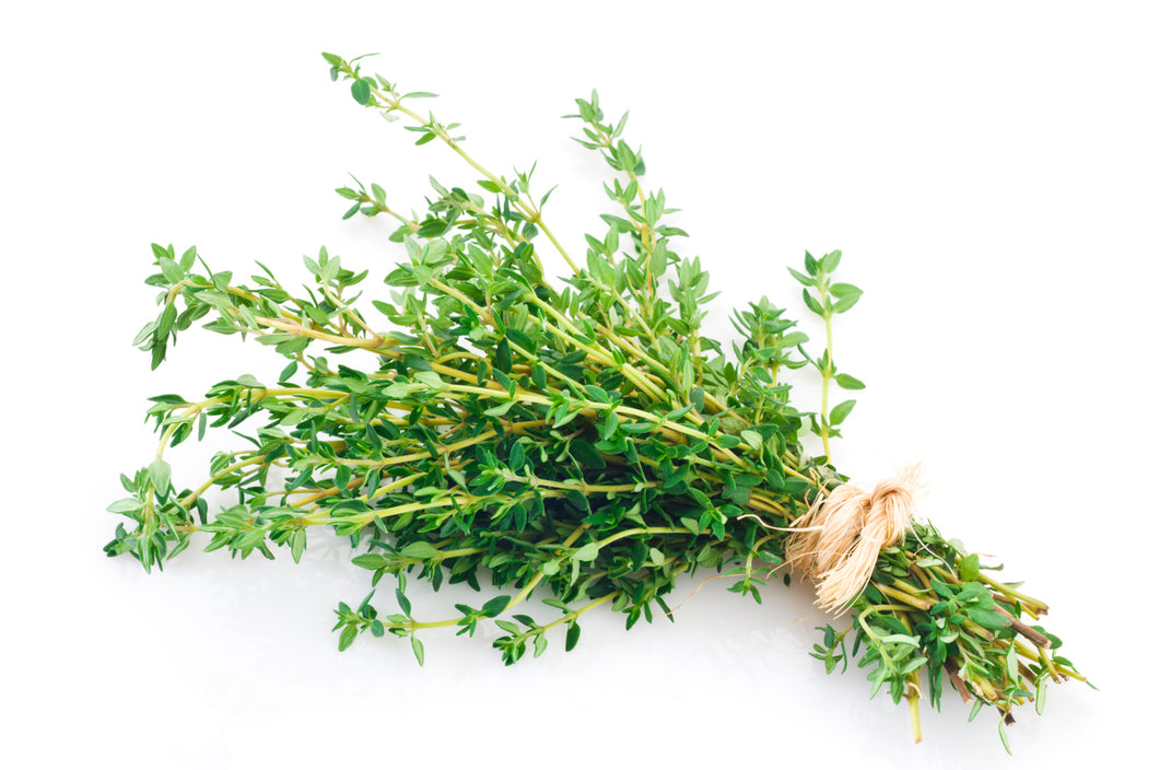 English Thyme 3.5