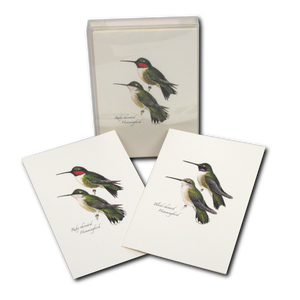 Peterson Hummingbird Boxed Notes