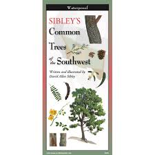 Sibley's Common Trees Folding Guide