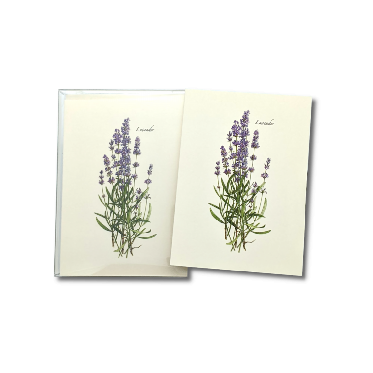 Lavender Boxed Notes