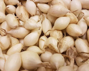 White Onion Sets 75pB