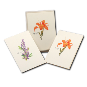 Wildflwr Note card assortment