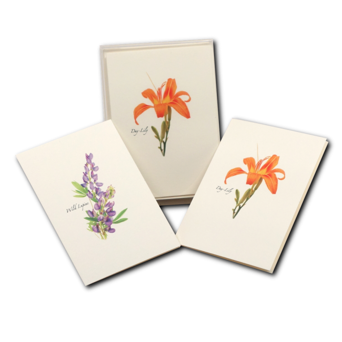Wildflwr Note card assortment